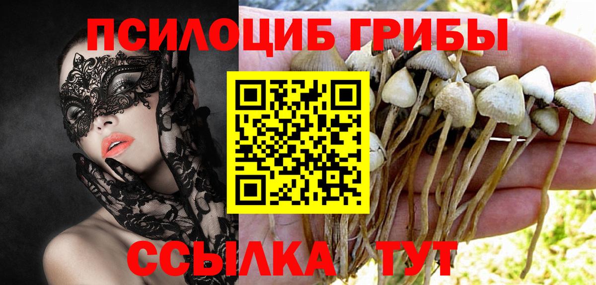 Солнечногорск  Галлюциногенные грибы мухоморы  Псилоцибиновые грибы Psilocybine cubensis  Вход с VPN 